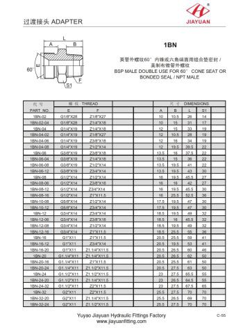 اتصال دهنده نر BSP 60 NPT